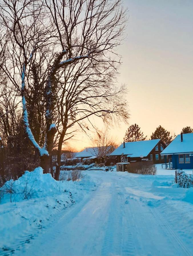 Hébergement de vacances Komfort-ferienhaus - Extertal-ferienpark Fuer 1-5 Personen Sauna *